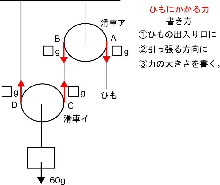 滑車の力の矢印の書き方:ひもの出入り口・向き・同じひもは同じ大きさ(例題1)